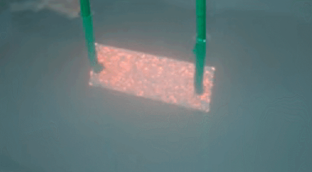 640 (12).gif 640 (12).gif