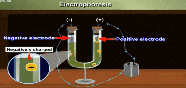 640 (11).gif 640 (11).gif